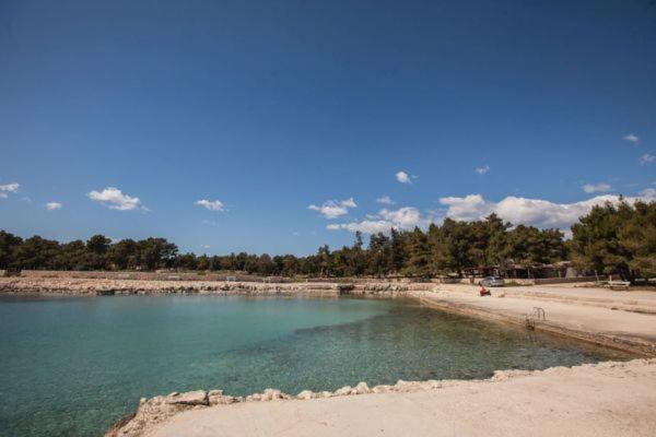 Apartman Franc S Vir Bagian luar foto