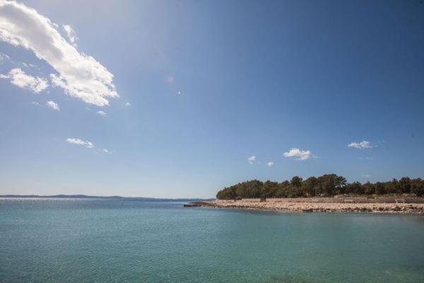 Apartman Franc S Vir Bagian luar foto