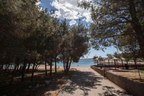Apartman Franc S Vir Bagian luar foto